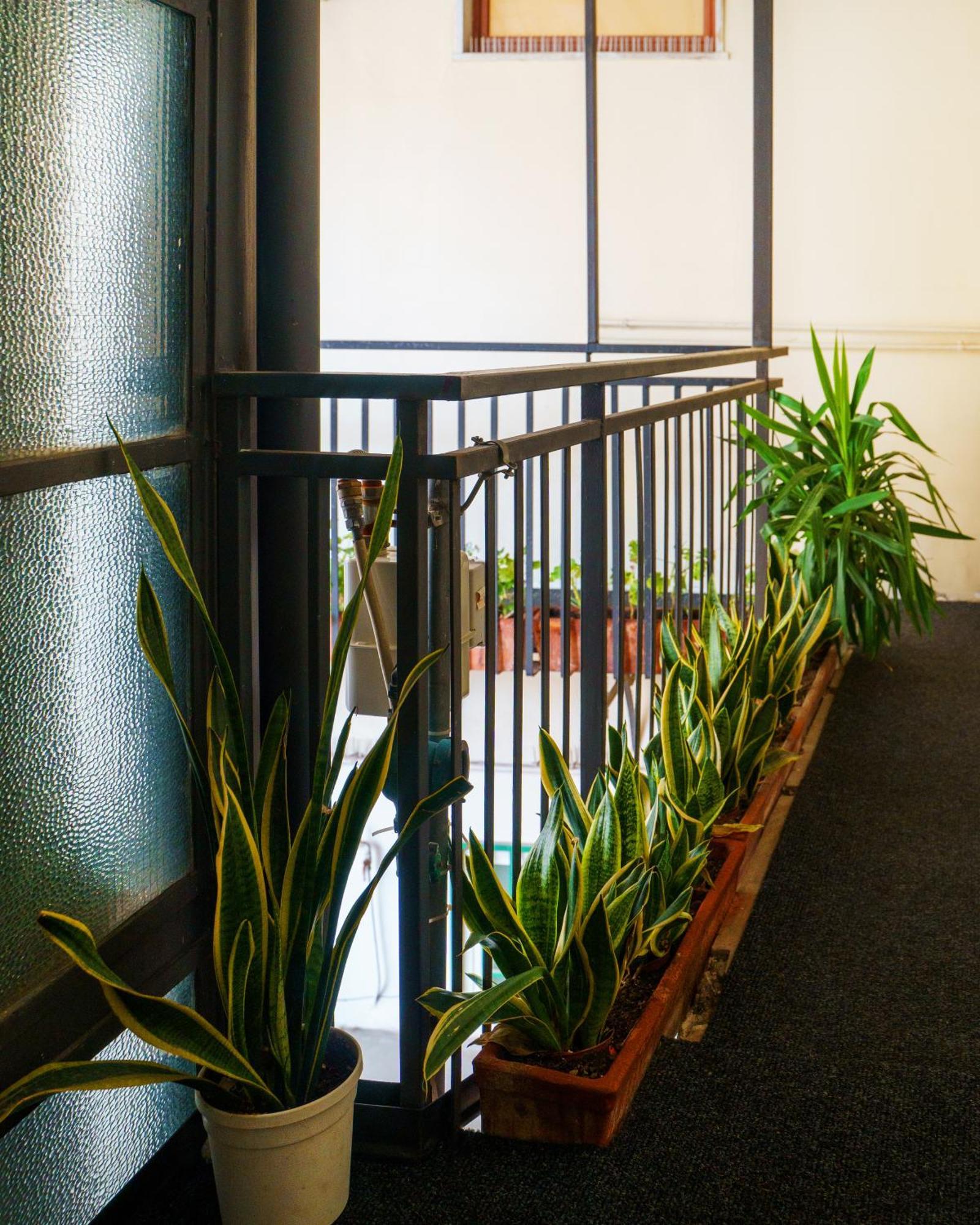 Chiatamone Relais Apartment Napoli Ngoại thất bức ảnh